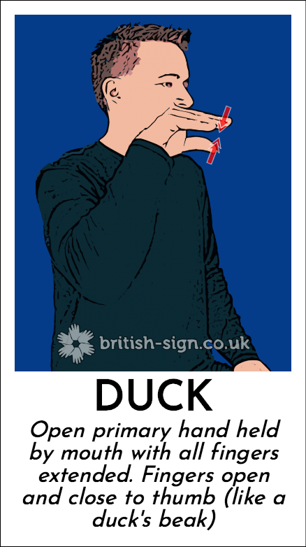 Duck: Open primary hand held by mouth with all fingers extended.  Fingers open and close to thumb (like a duck's beak)